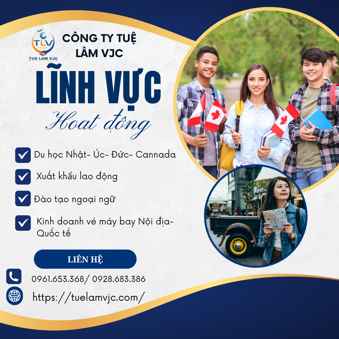 linh vuc hoat dong 1